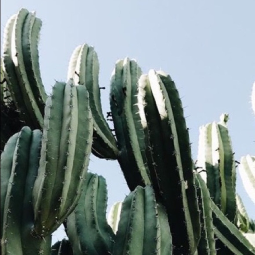 Meet your Posher, Ona